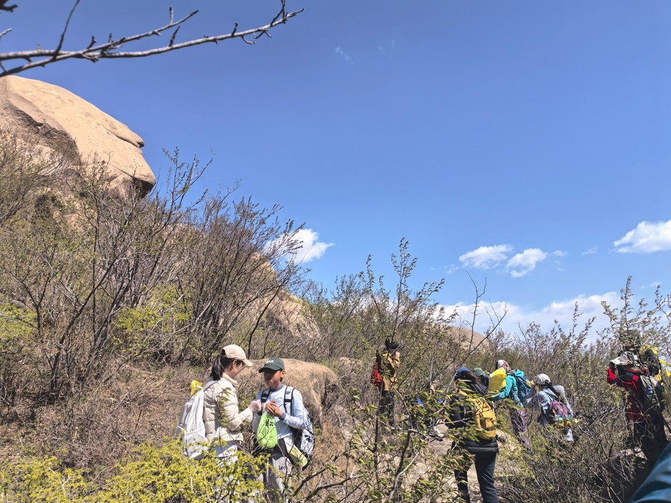 mmexport1775441318403