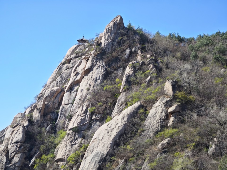 mmexport1775441387415