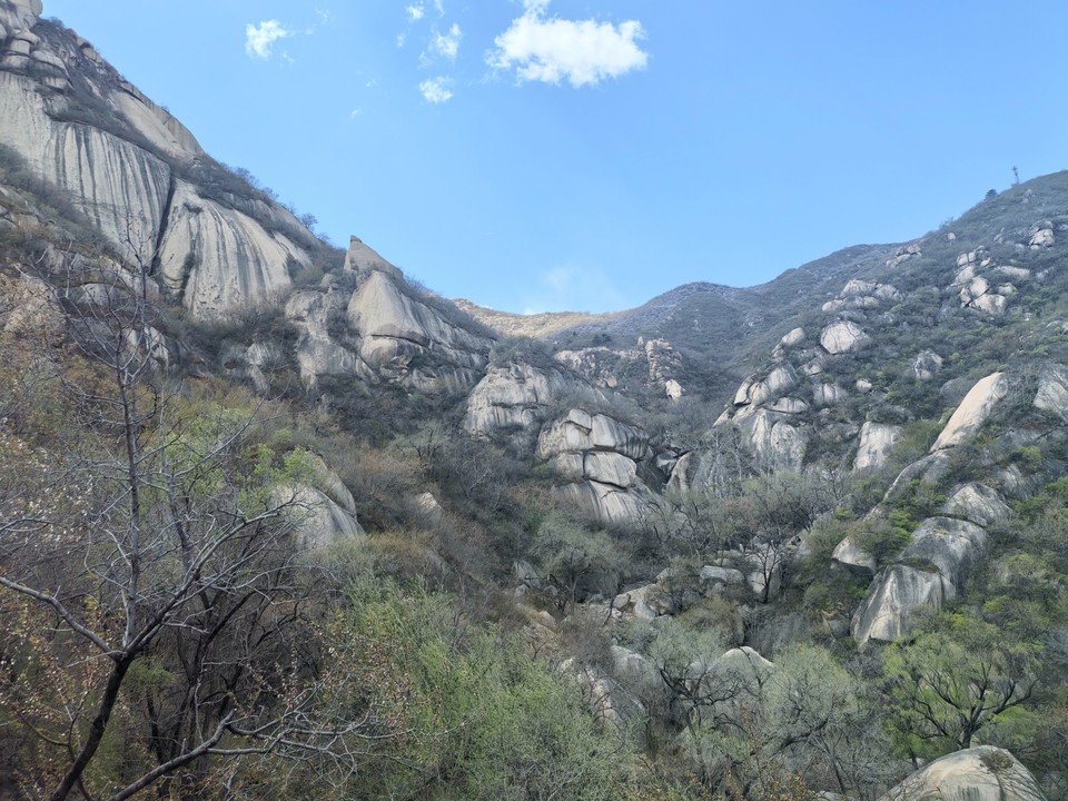 mmexport1775441406291