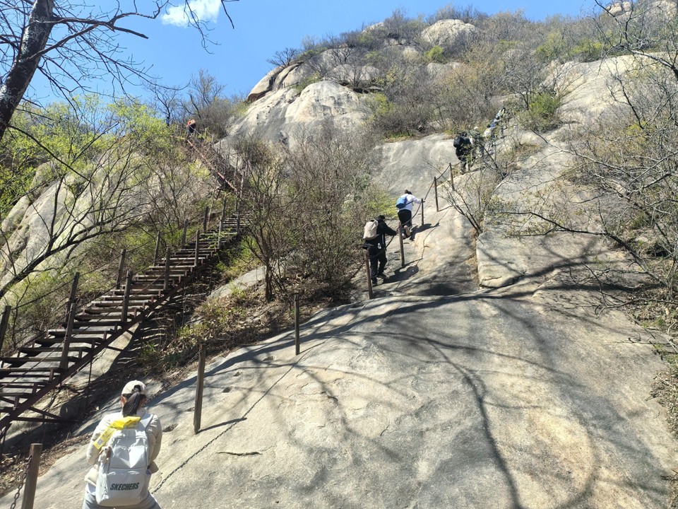 mmexport1775441399160