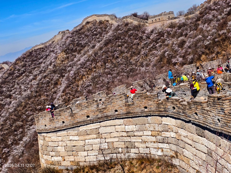 mmexport1775914528449