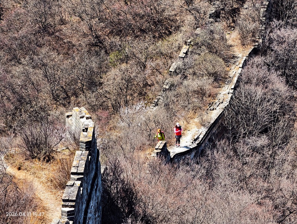 mmexport1775914571941