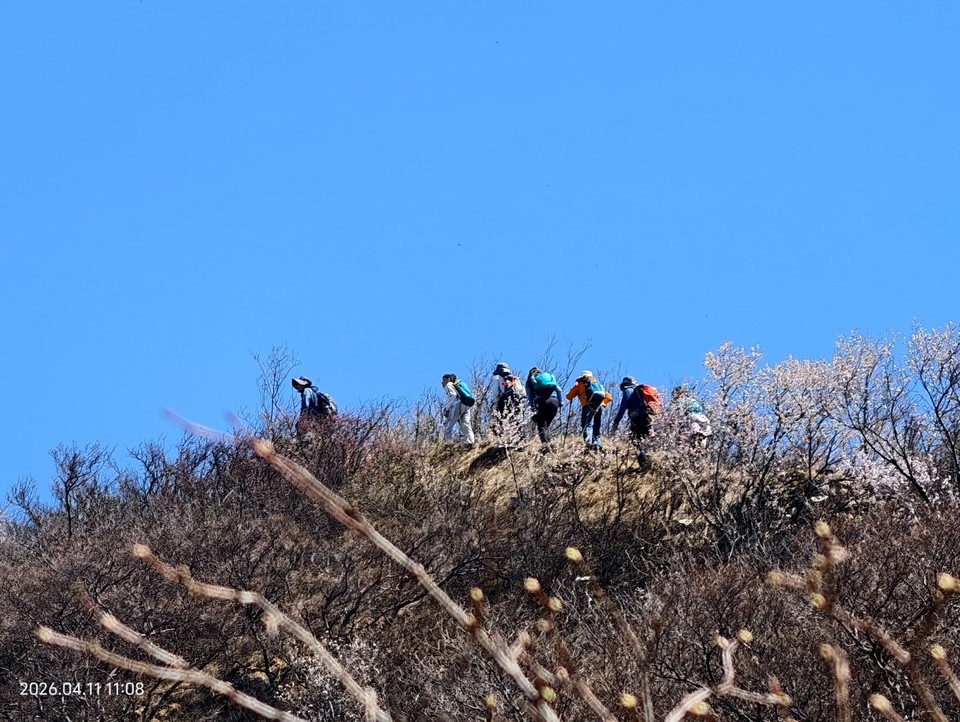 mmexport1775914596248