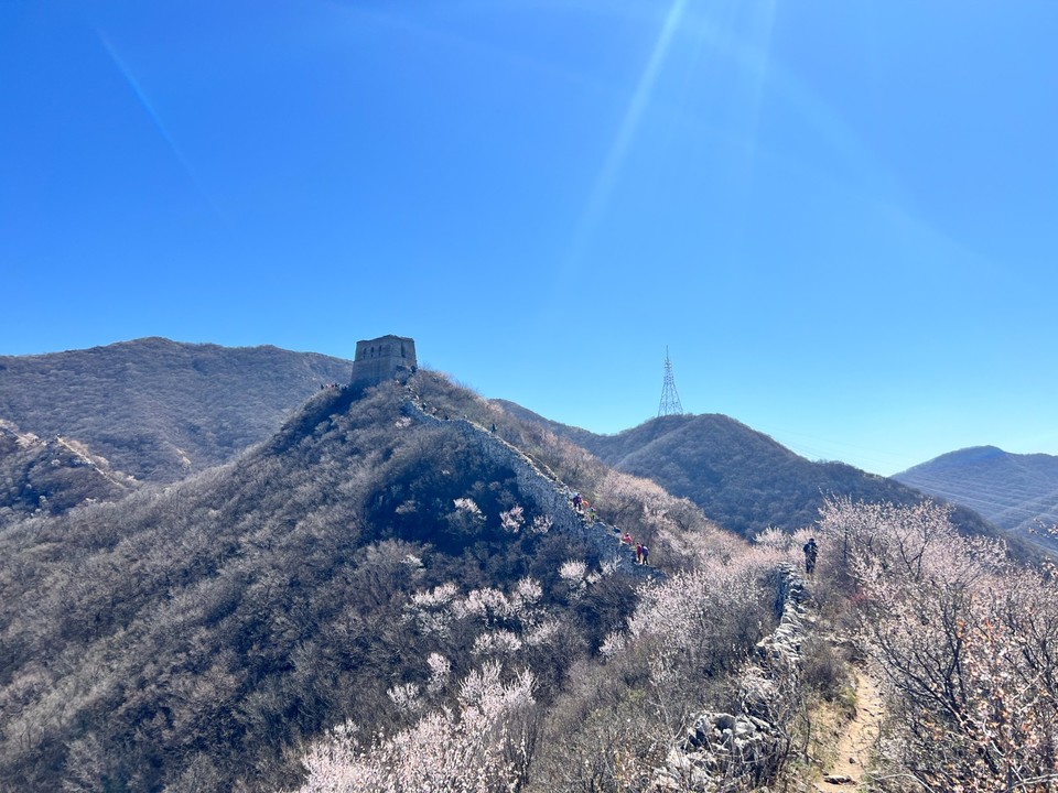 mmexport1775914674166