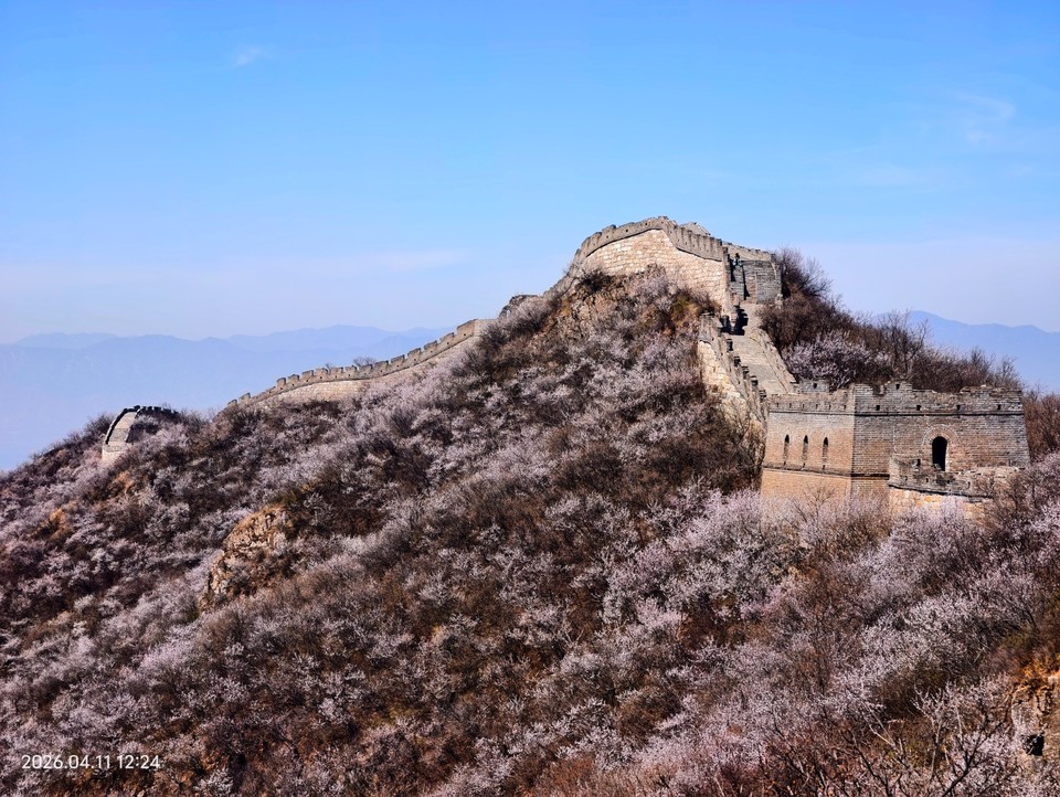 mmexport1775914495227