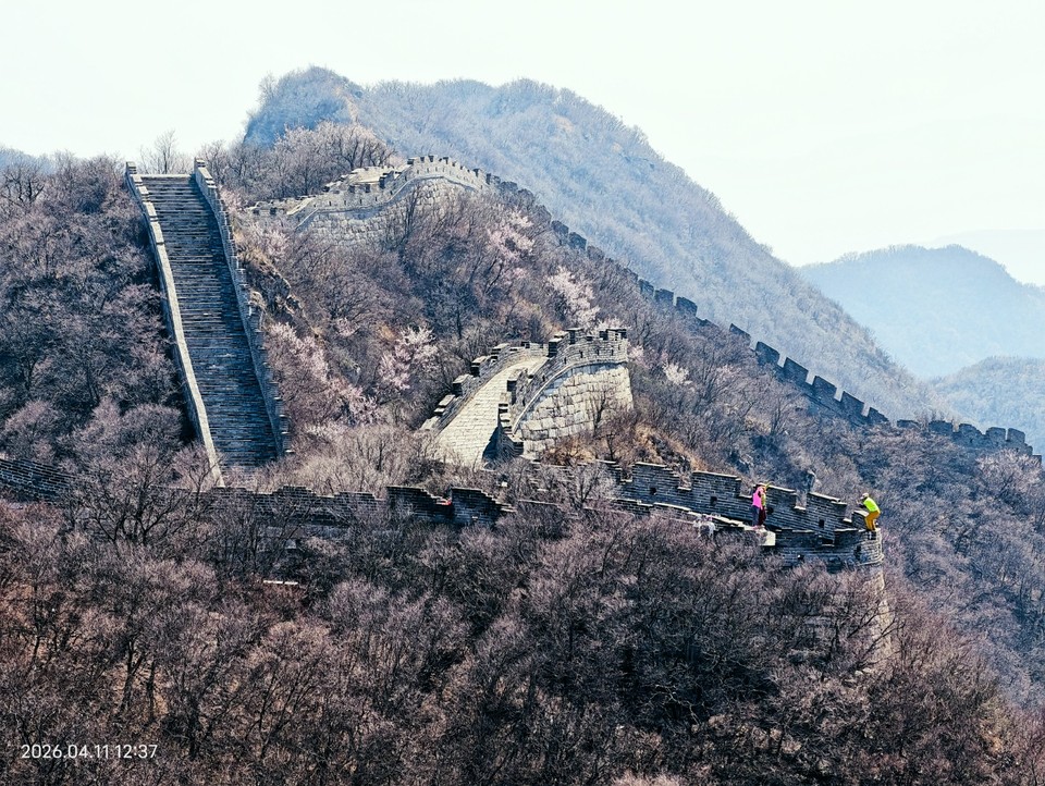 mmexport1775910506181