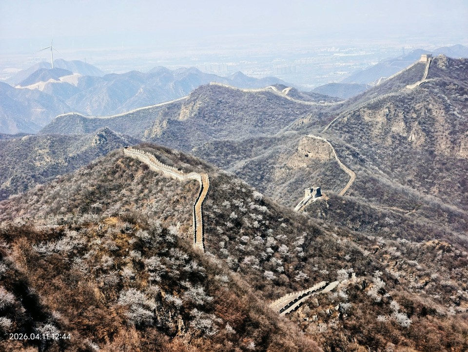 mmexport1775910484313