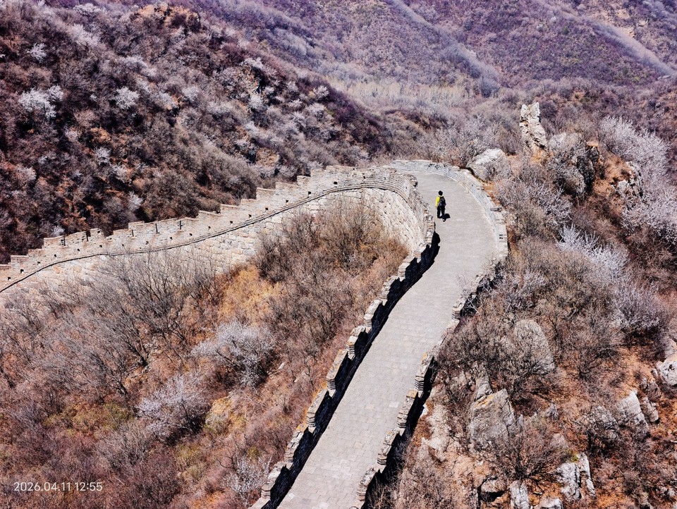 mmexport1775910473636