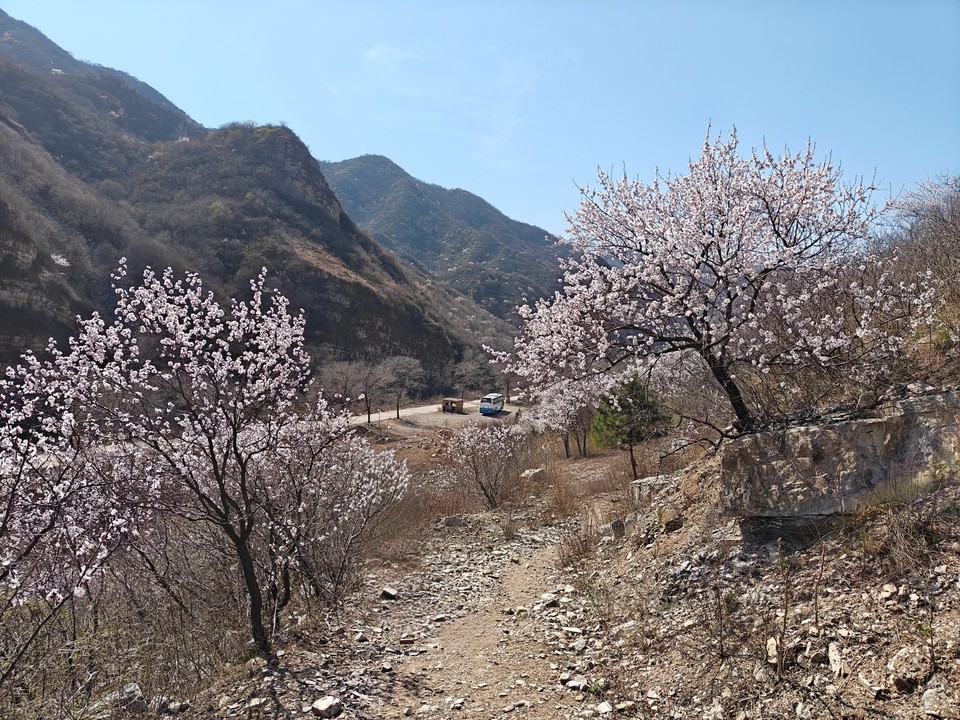 mmexport1775910384325