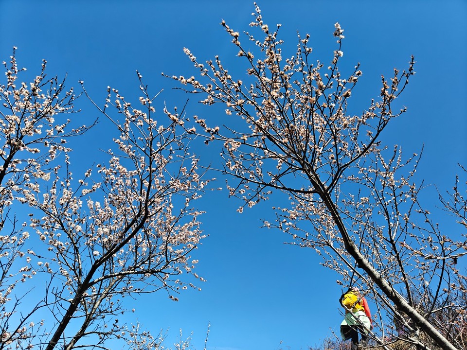 mmexport1775910414629