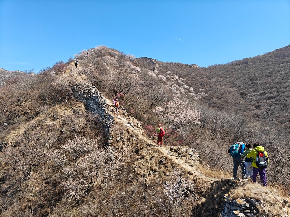 mmexport1775910423823