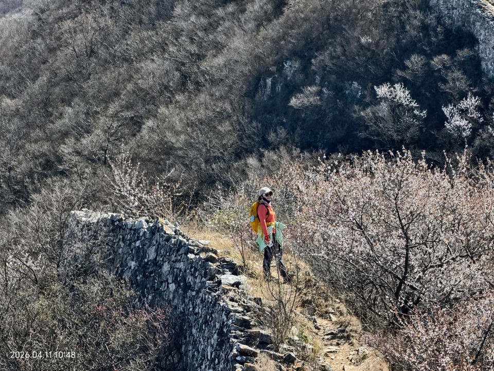 mmexport1775910443799