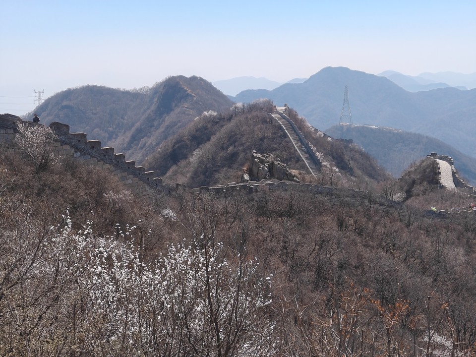 mmexport1775910368512