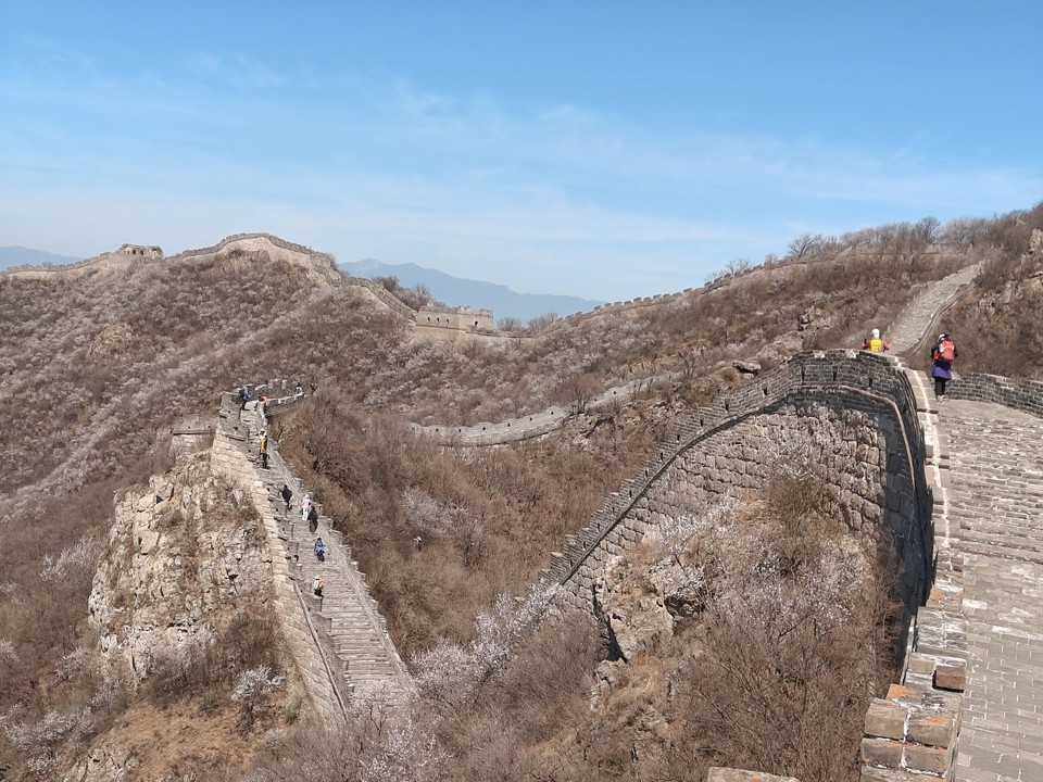 mmexport1775910357874