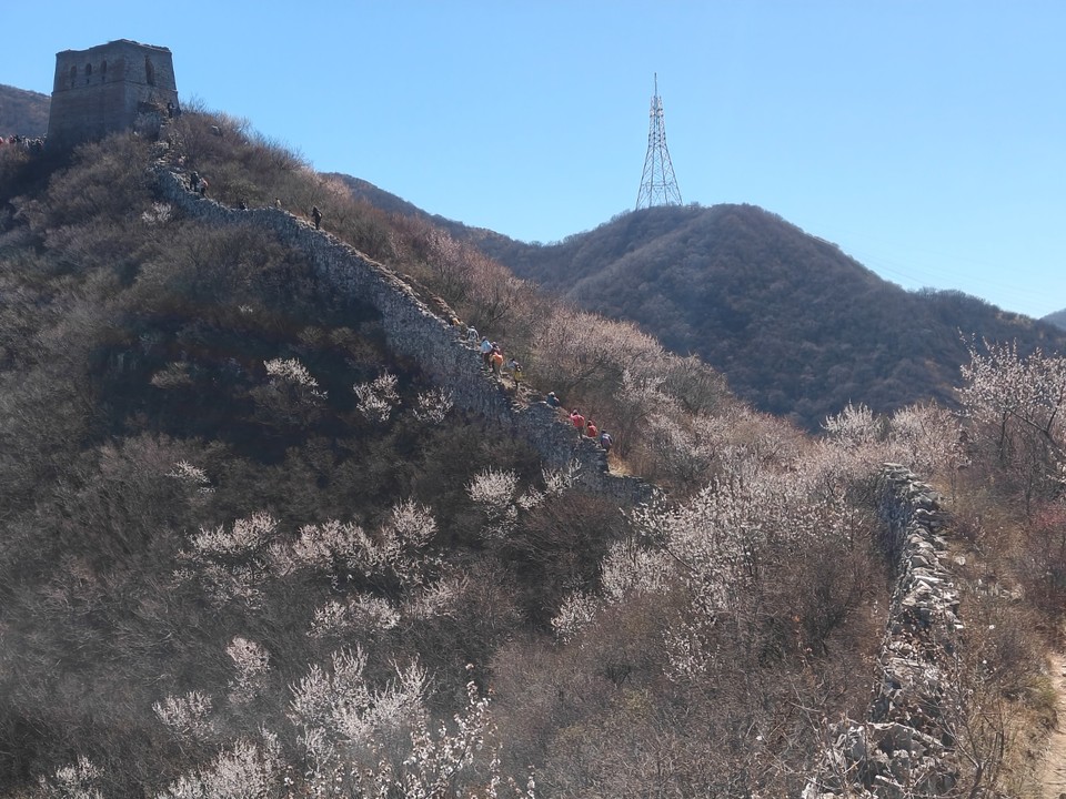 mmexport1775910340720