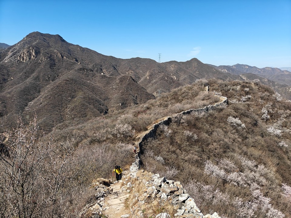 mmexport1775910332216