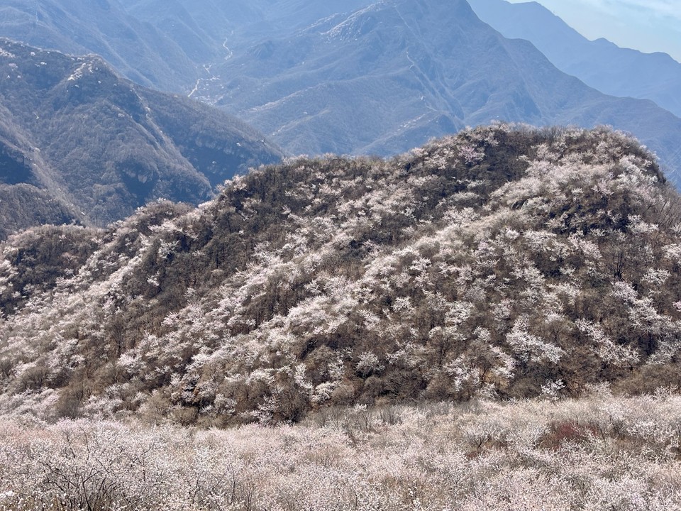 mmexport1775910232098_edit_594684743350400