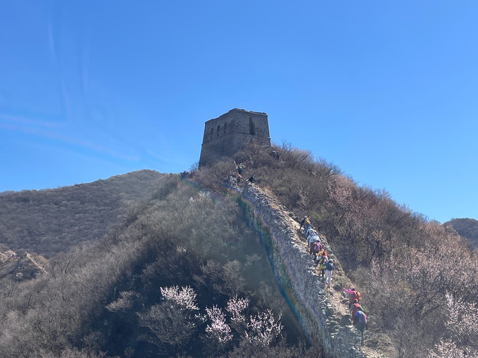 mmexport1775910290768