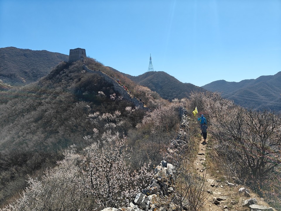 mmexport1775910321668