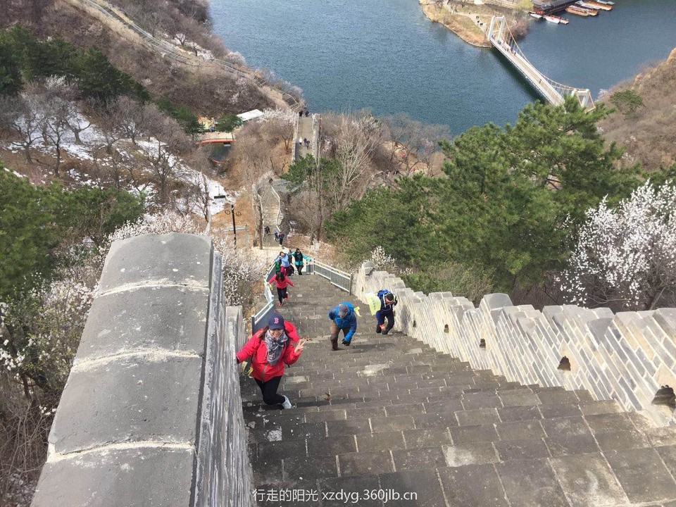 微信图片_20180511150447