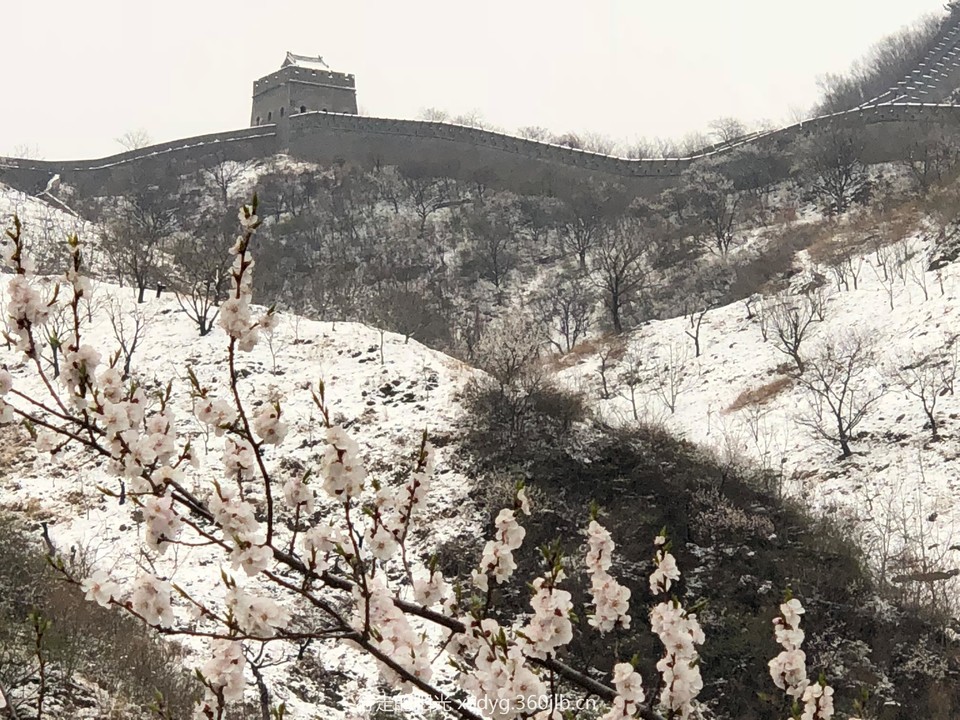 微信图片_20180511150709