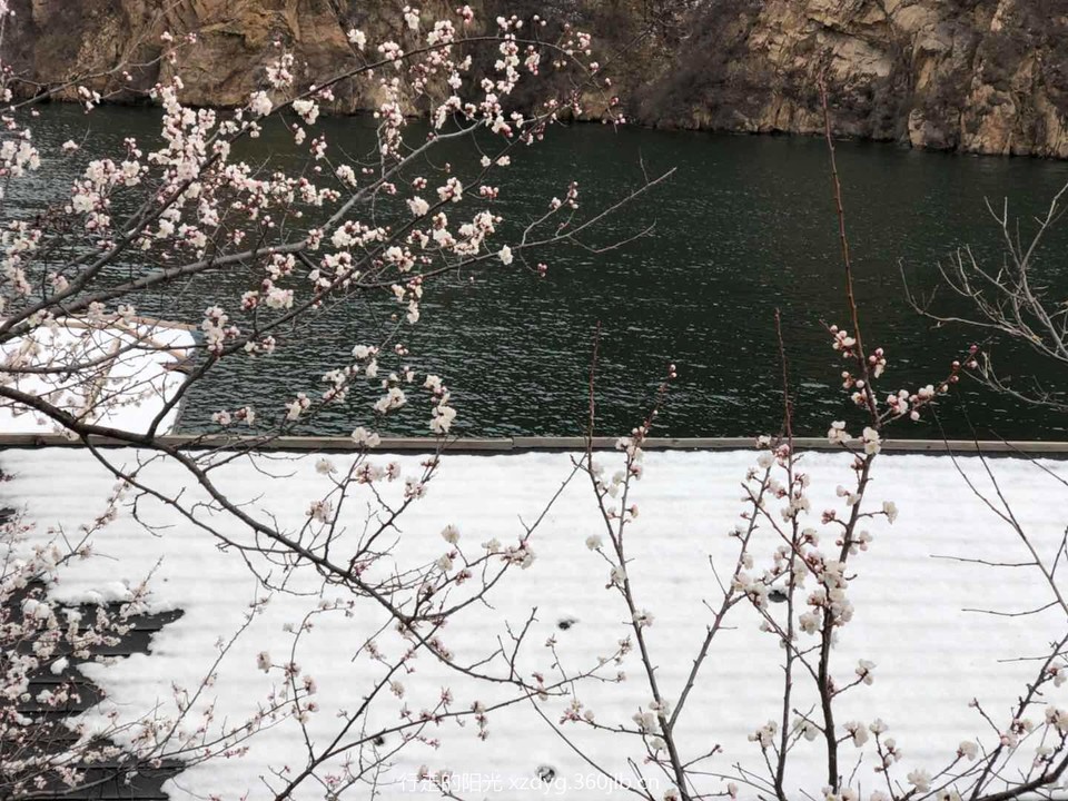 微信图片_20180511151831