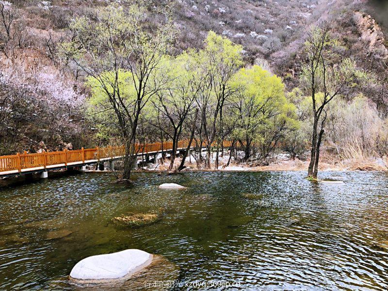 微信图片_20180511152431