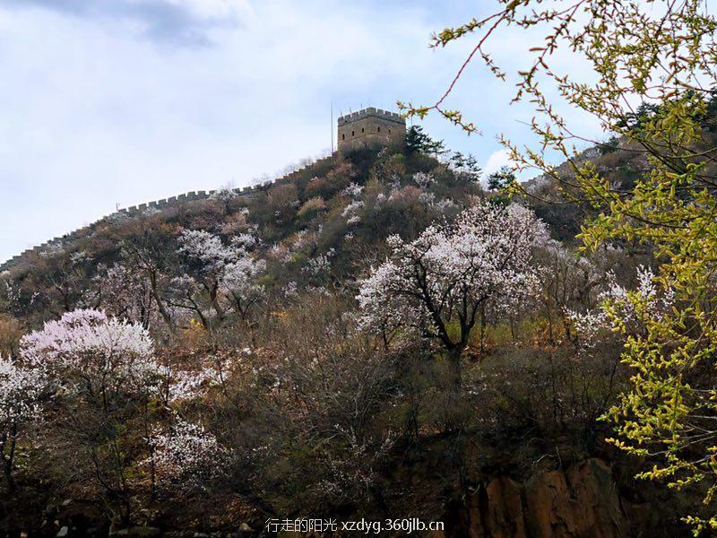 微信图片_20180511152453