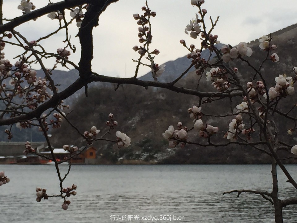 微信图片_20180511152514