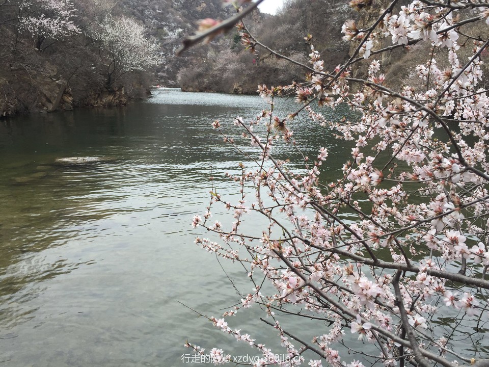 微信图片_20180511152518