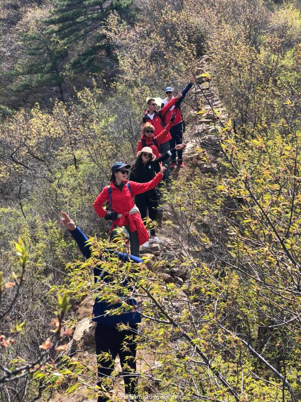 微信图片_20180419105556