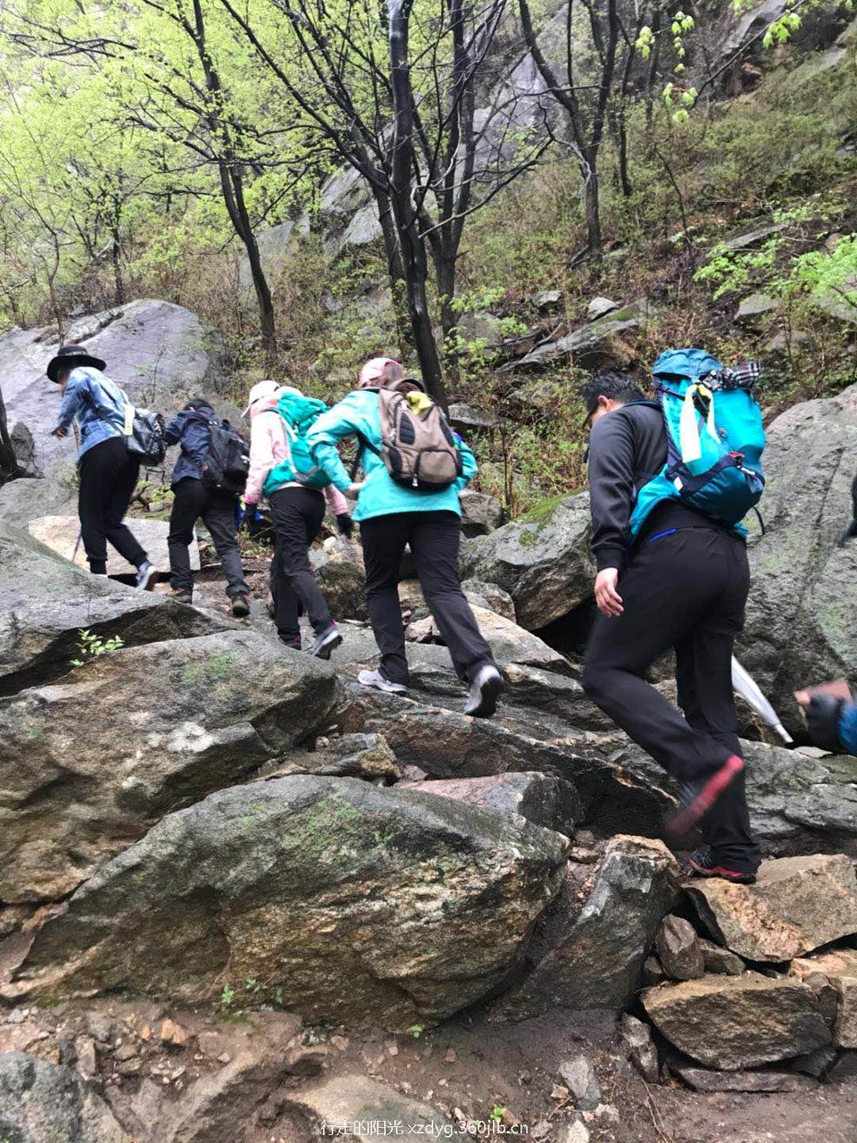 微信图片_20180424144713