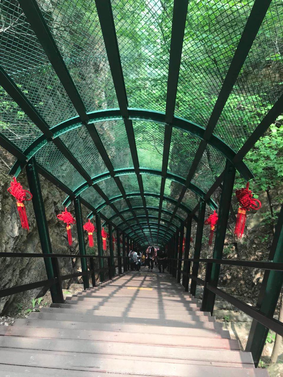 微信图片_20180521175438