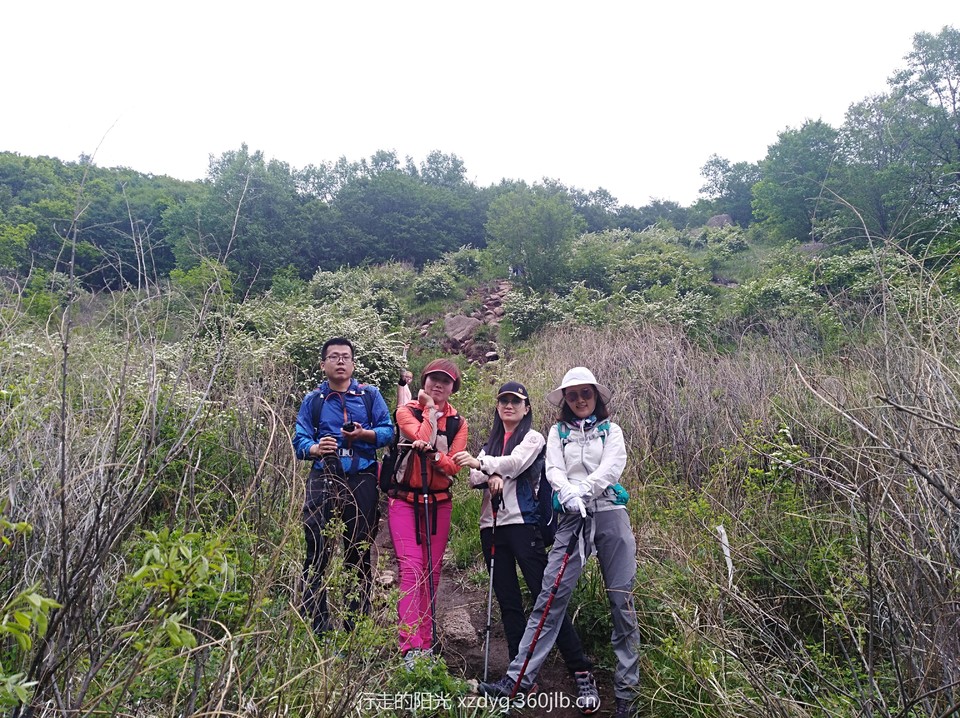 mmexport1526881842194