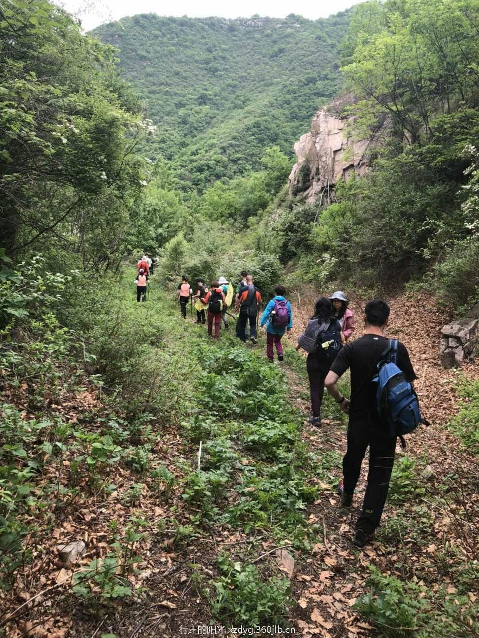 mmexport1526884931868