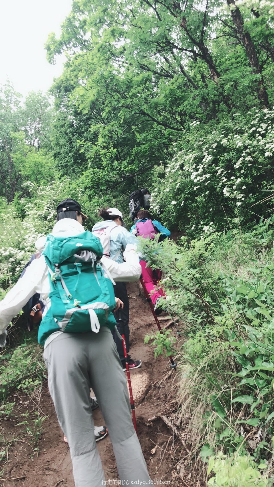 mmexport1526885063784