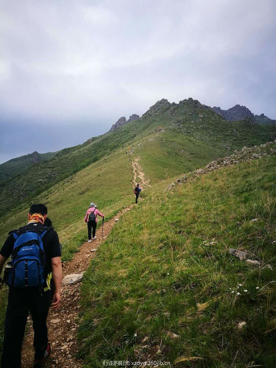 mmexport1526888596840