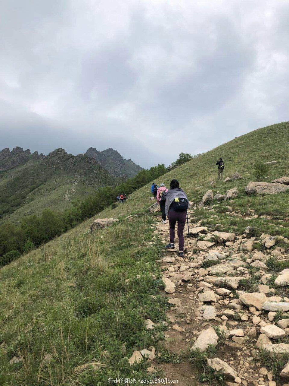 mmexport1526888656393