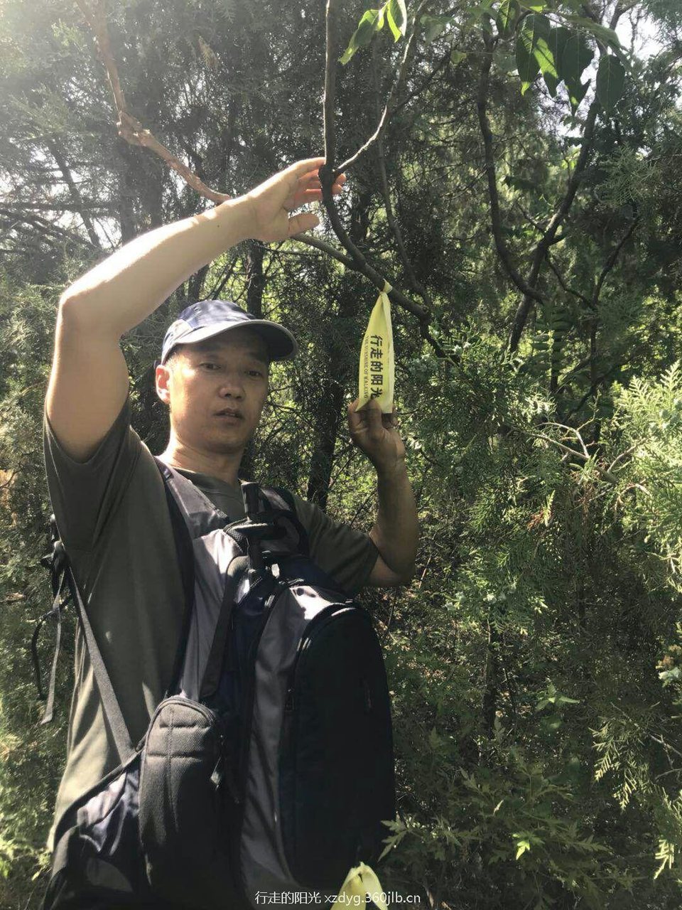 mmexport1527479823185