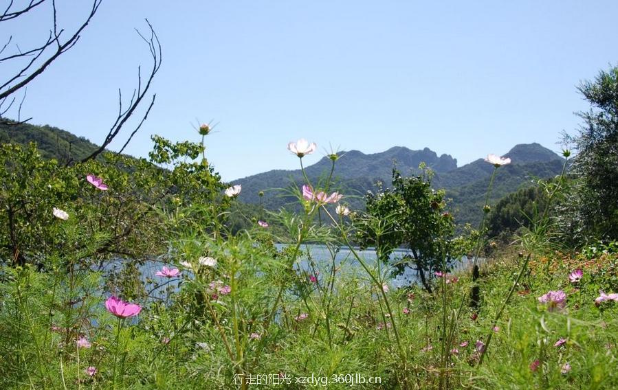 mmexport1527485991377