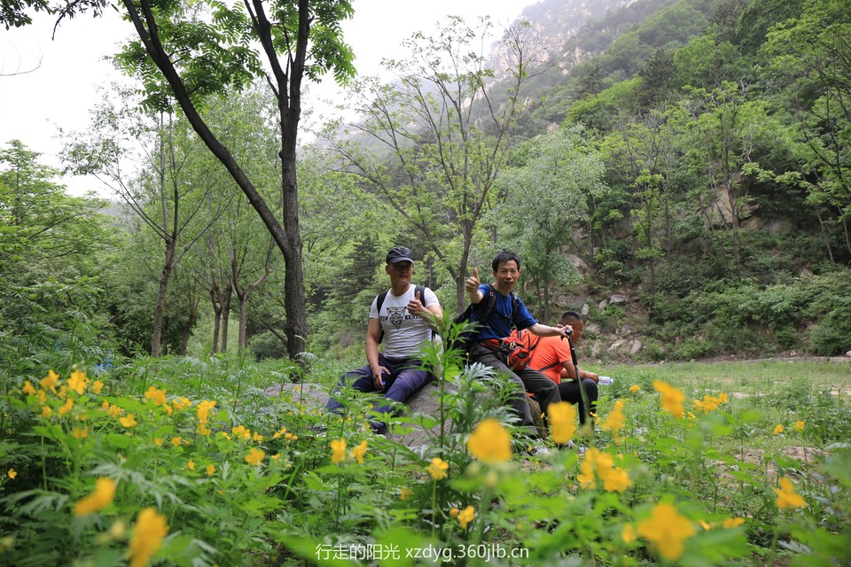 mmexport1527486818200