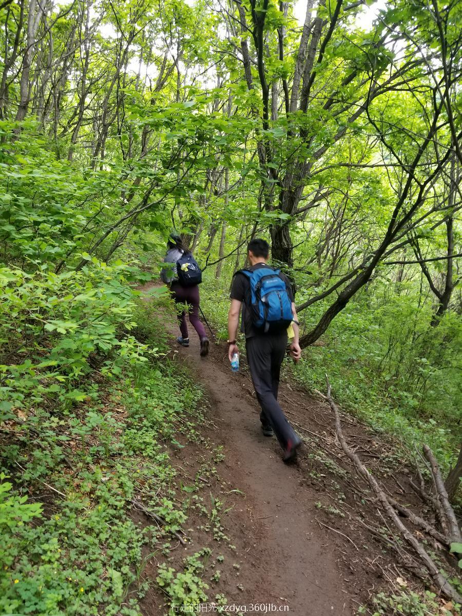 mmexport1526887290456