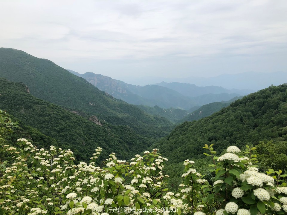 mmexport1526886989819