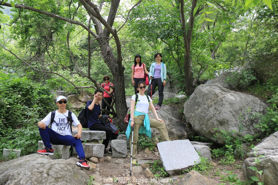 mmexport1527488396373