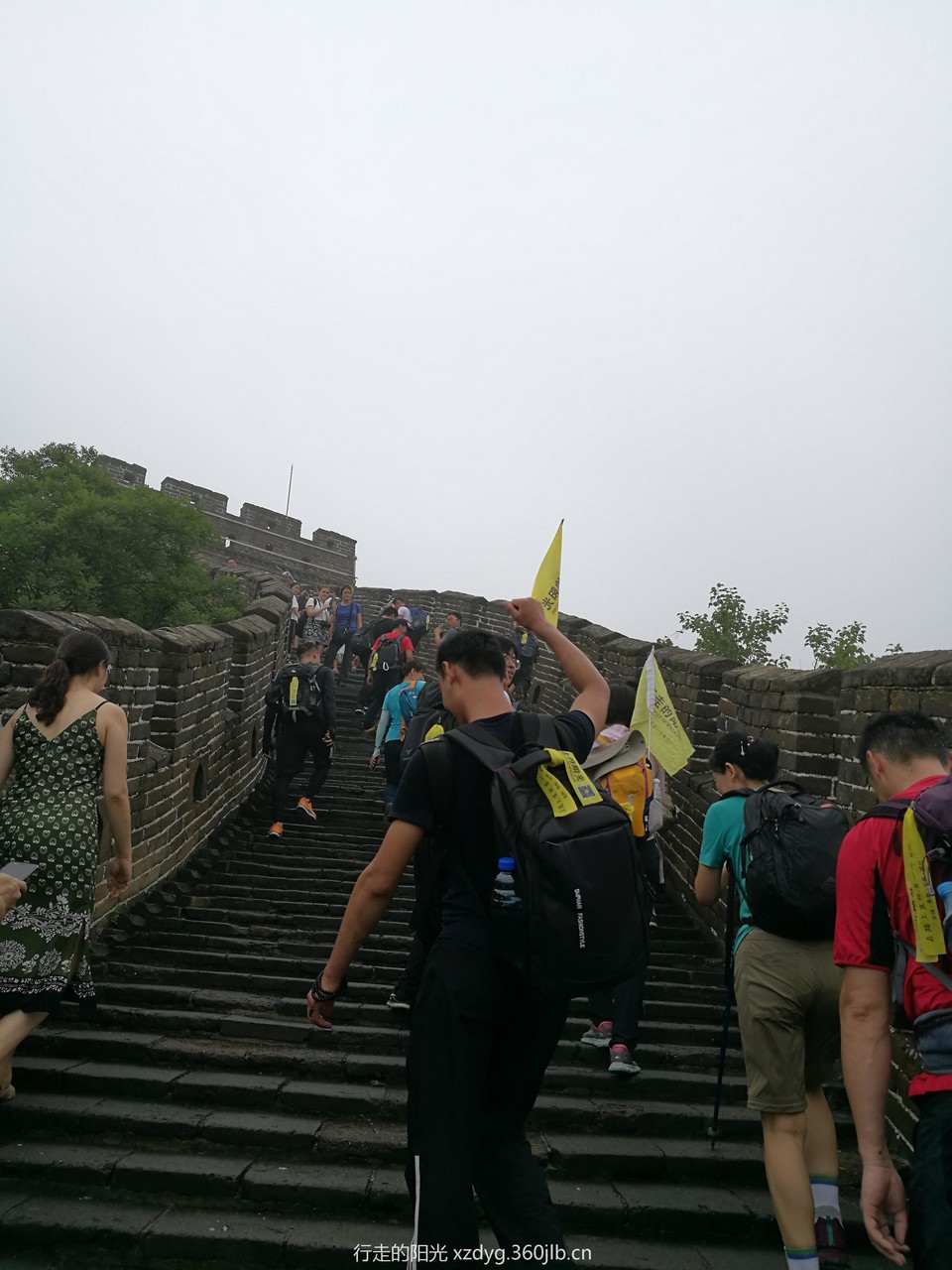 mmexport1532184223003