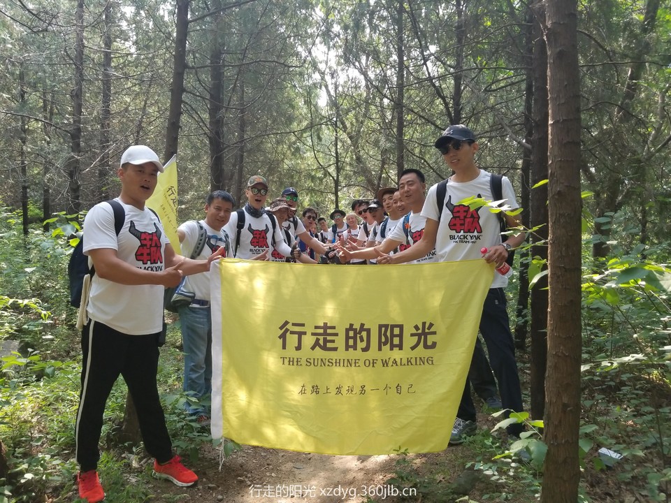 mmexport1529916019208