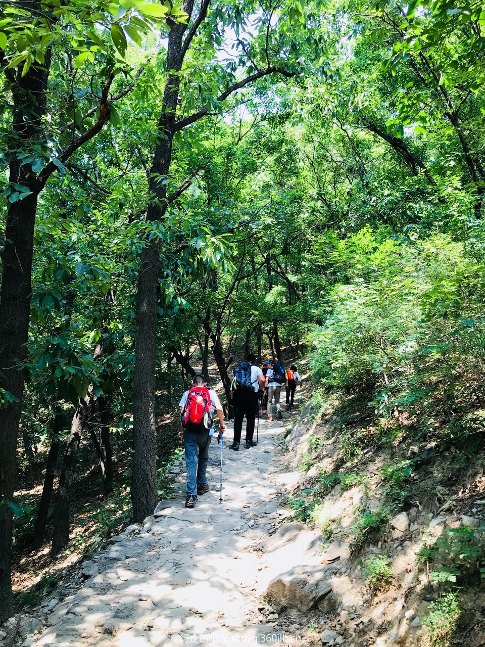 mmexport1529917800729