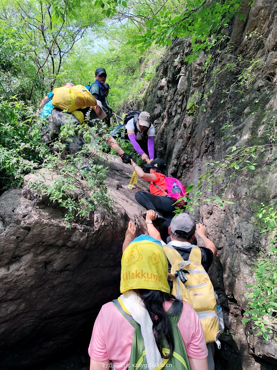 mmexport1531582259272