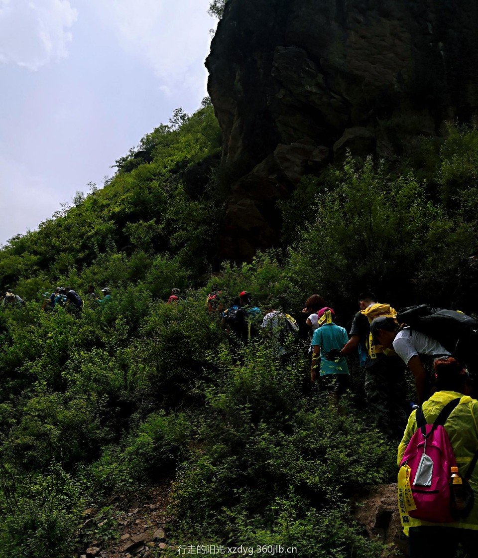 mmexport1531582900575