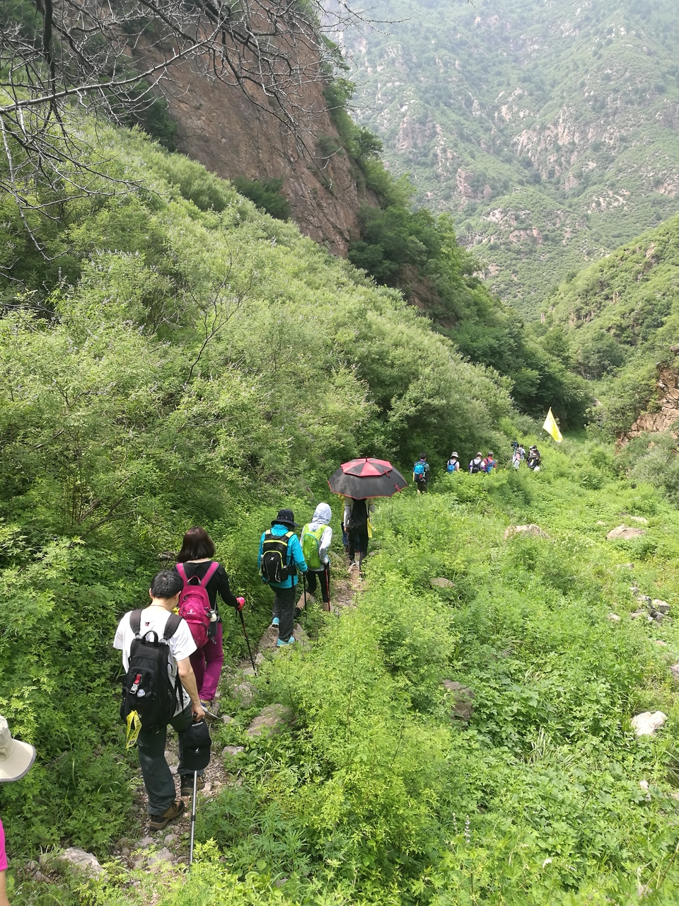 mmexport1531621447609